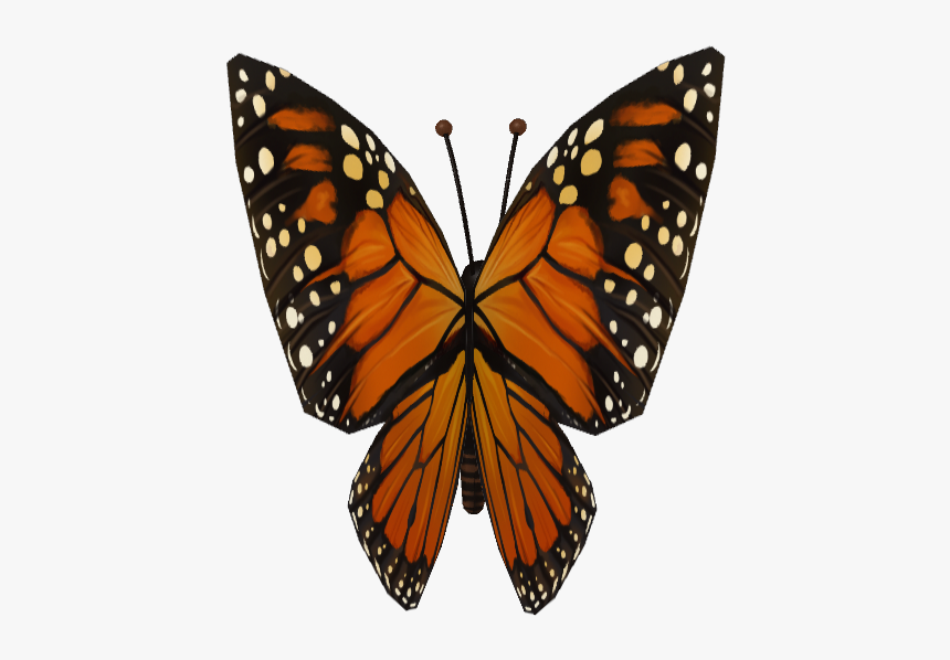 Monarch Butterfly, HD Png Download, Free Download