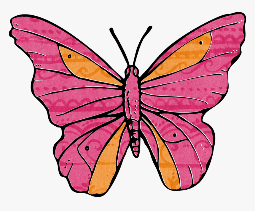 Orange And Pink Butterflies Clipart , Png Download - Gambar Model Kupu Kupu, Transparent Png, Free Download