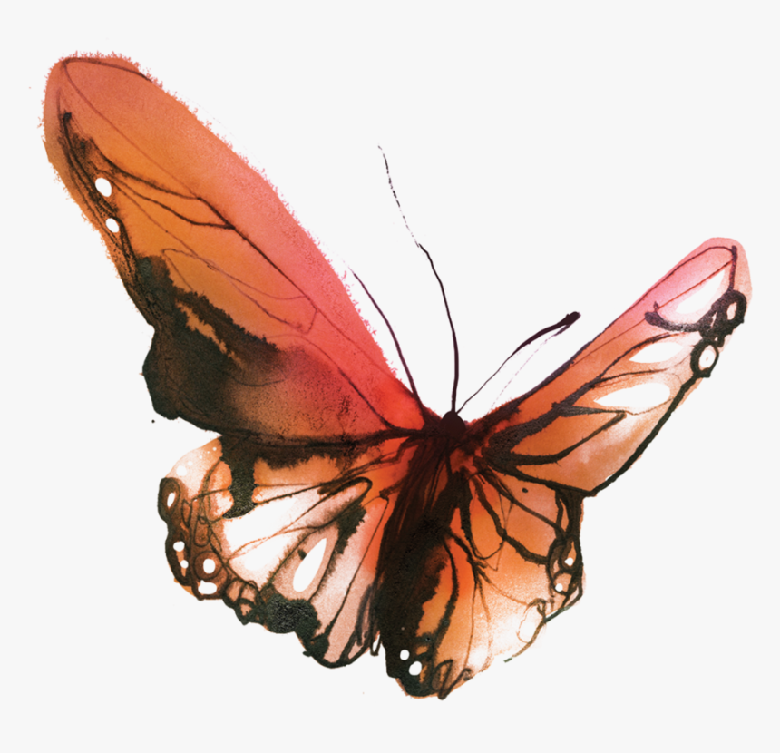 Pretty Butterfly Tattoos Watercolour - Small Watercolor Butterfly Tattoo, HD Png Download, Free Download