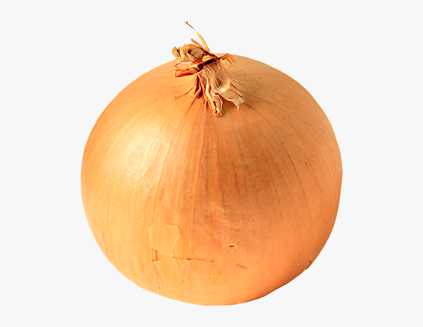 Репчатый Лук, Белый Лук, Корнеплод, Onion, White Onion, - Onion With No Background, HD Png Download, Free Download