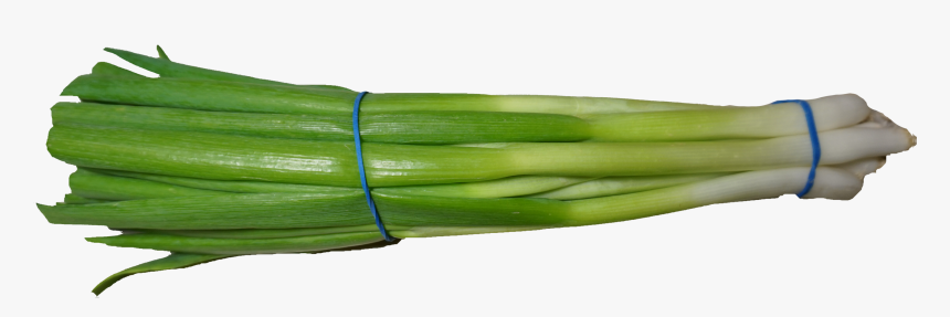 Green Onions Png - Scallion Png, Transparent Png, Free Download