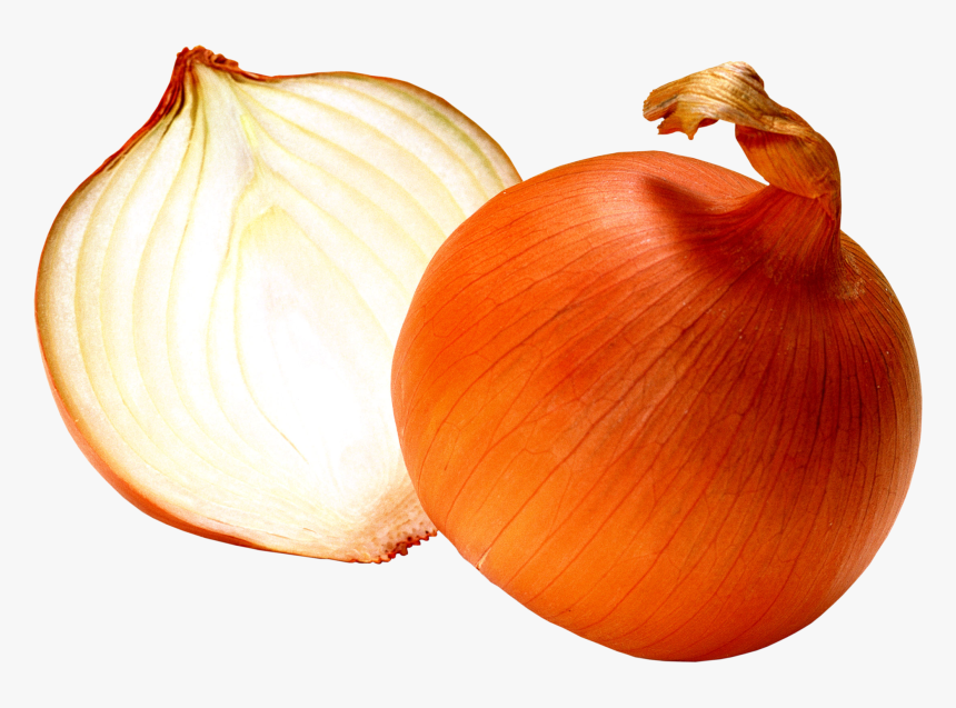 White Onion Png, Transparent Png, Free Download
