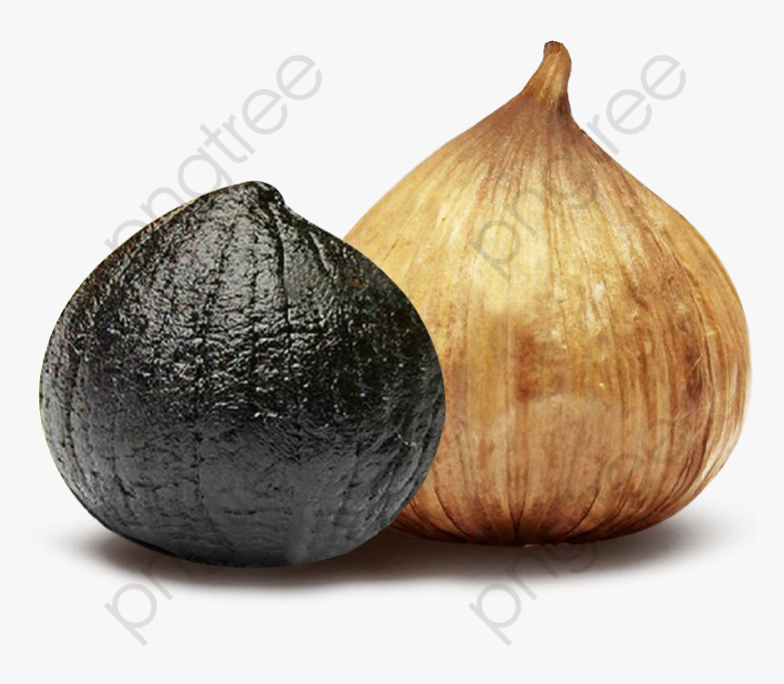Transparent Garlic Clipart Black And White - Black Garlic Background, HD Png Download, Free Download