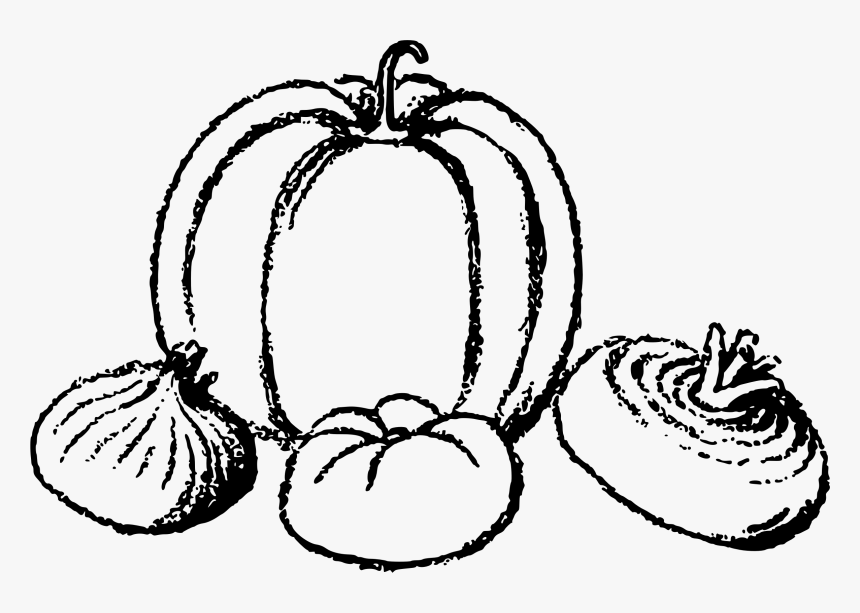 Onion Clipart Vegetablesblack - Vegetables Drawing Big, HD Png Download, Free Download