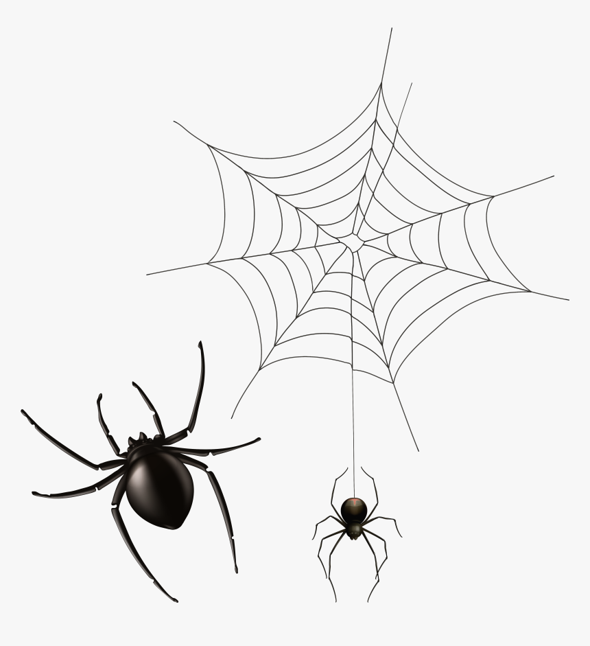 Spider Web Icon Wiki Computer File - Transparent Background Spider Web Png, Png Download, Free Download