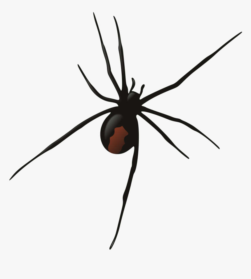 Red Back Spider Clipart, HD Png Download, Free Download