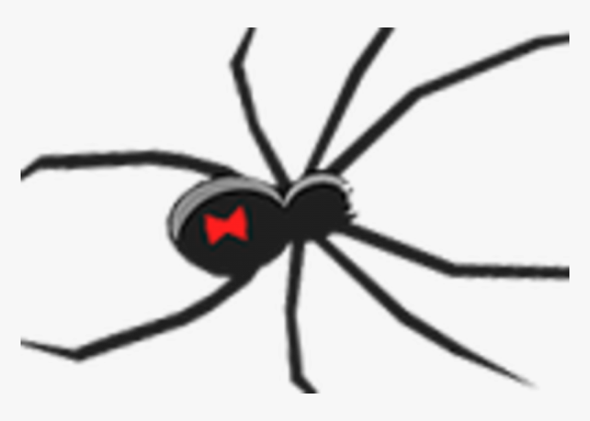 Black Widow Clip Art, HD Png Download, Free Download