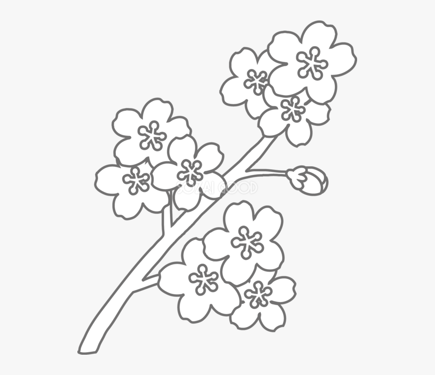 Coloring Book Floral Design Black And White - 塗り絵 簡単 高齢 者, HD Png Download, Free Download