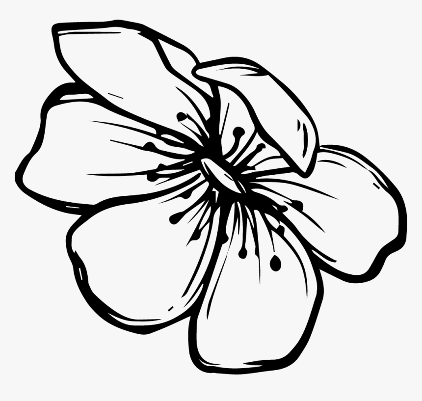 Flower Doodle Png - Clipart Black And White Drawings, Transparent Png, Free Download
