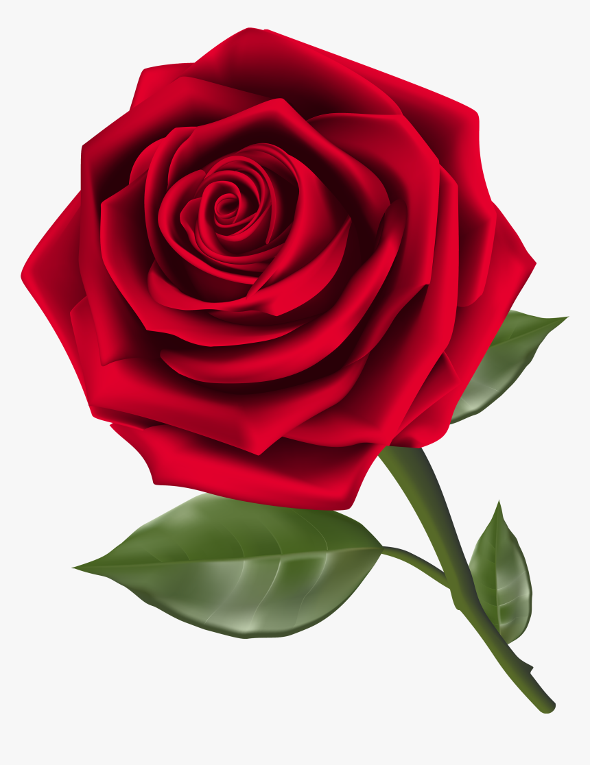 Transparent Rose Clipart - Rose Clipart Png, Png Download, Free Download