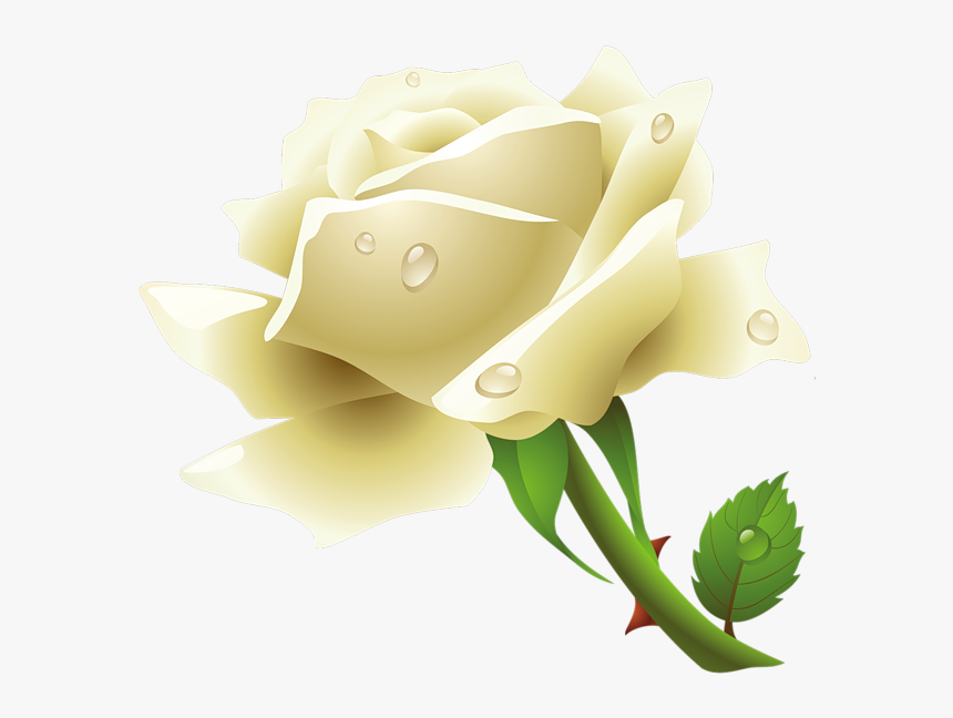 White Rose Png Image, Flower White Rose Png Picture - White Rose Vector Png, Transparent Png, Free Download
