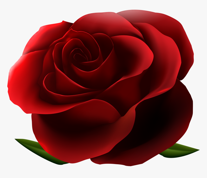Clip Art Red Rose Backgrounds - Red Roses Transparent Background, HD Png Download, Free Download