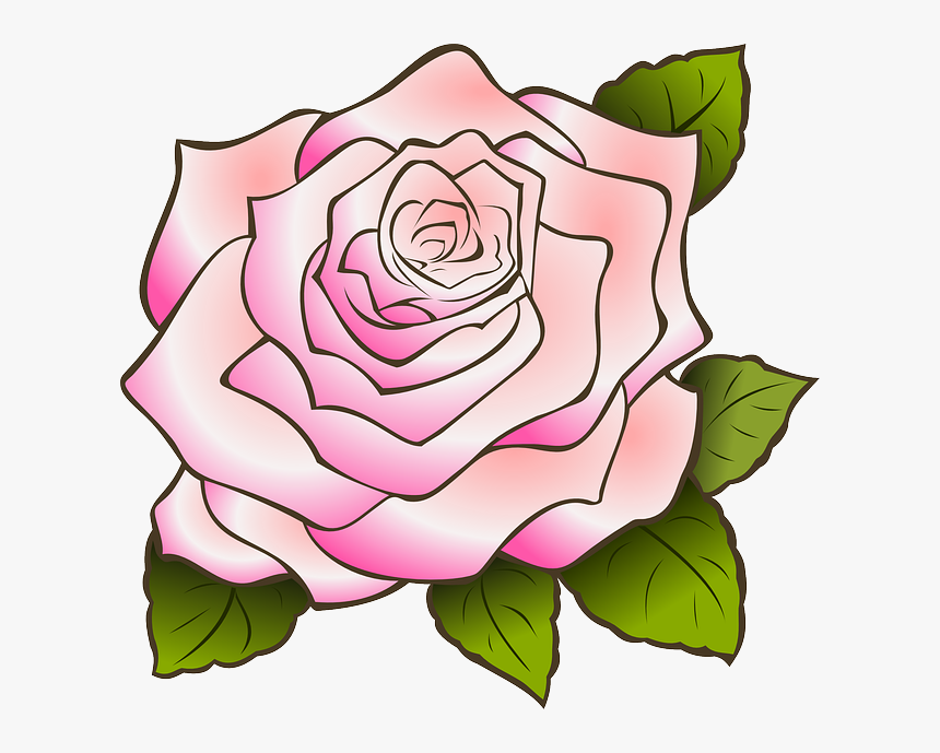 White Rose Drawing, HD Png Download, Free Download