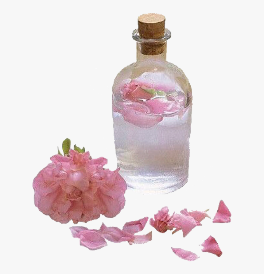 Eau De Rose Png, Transparent Png, Free Download