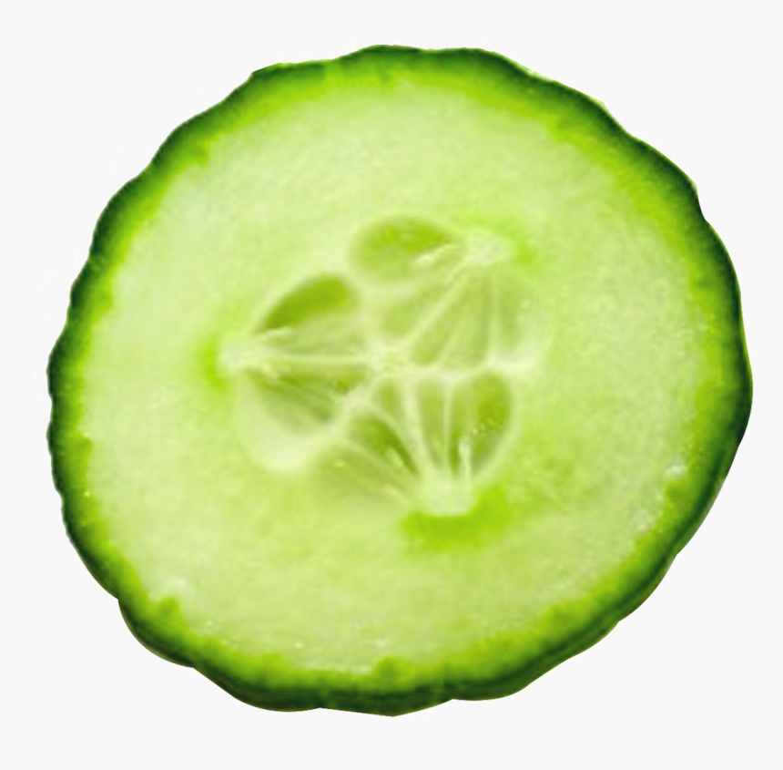 Cucumber Slices Png Picture Royalty Free Library - Transparent Background Cucumber Slice Png, Png Download, Free Download