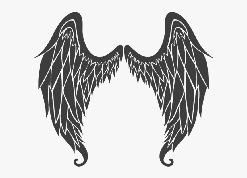 Transparent Angel Wings Clipart Black And White - Illustration, HD Png Download, Free Download