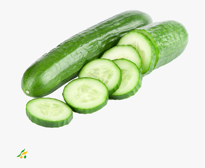 Pickled Cucumber Cucumber Sandwich Vegetable Vegetarian - Cucumber Png, Transparent Png, Free Download