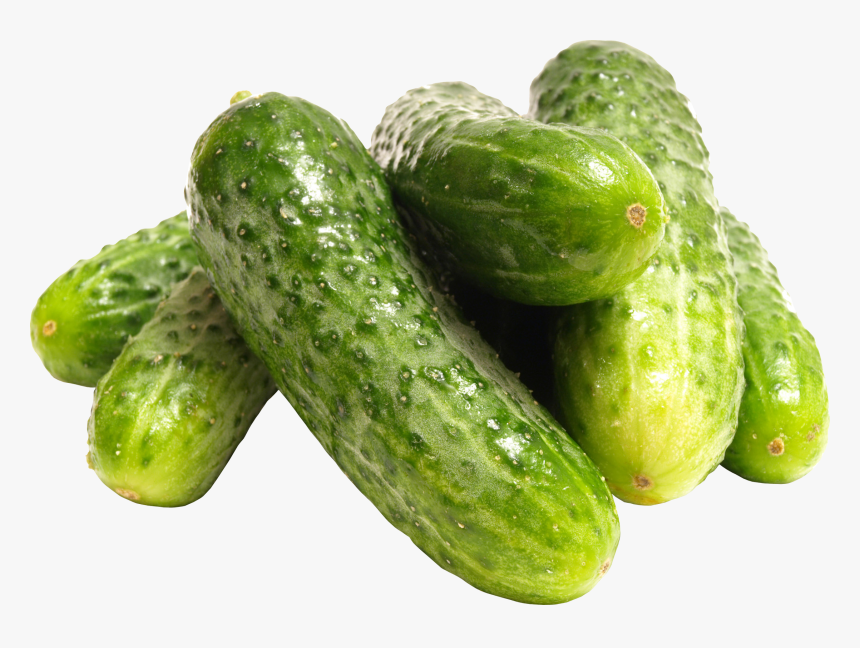 Transparent Cucumber Slice Png - Cucumber Png Transparent, Png Download, Free Download