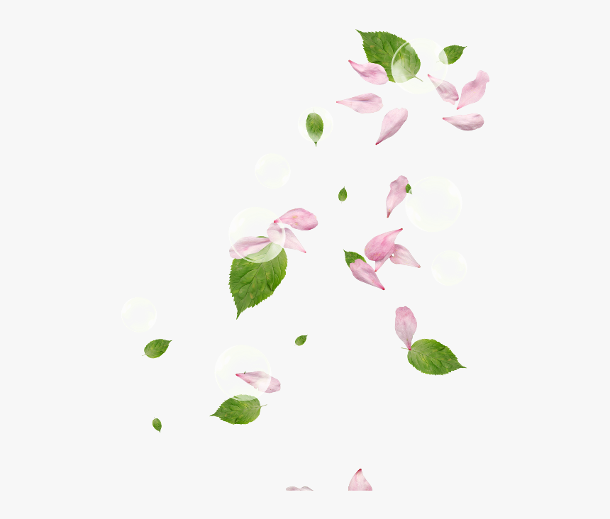 Pink Flower Petals - Dont Be Afraid To Give Up The Good To Go For The Great, HD Png Download, Free Download
