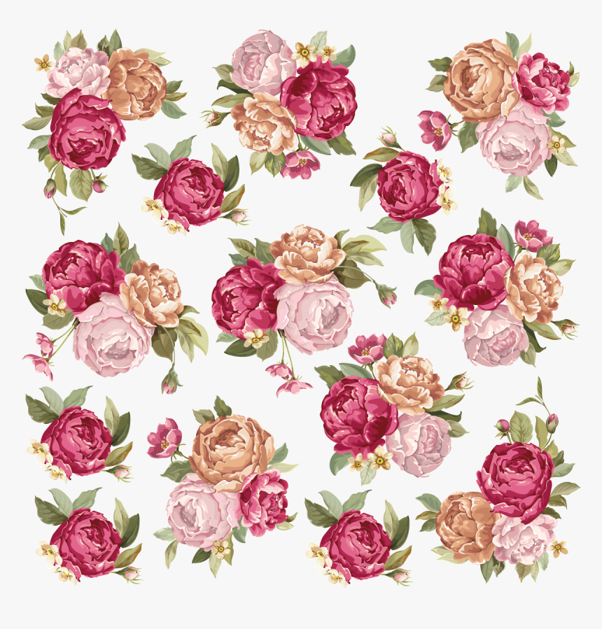 Garden Roses, HD Png Download, Free Download