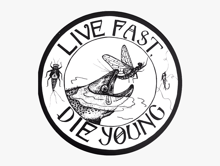 Amy Mcmahon Live Fast Die Young Sticker - Tssa, HD Png Download, Free Download