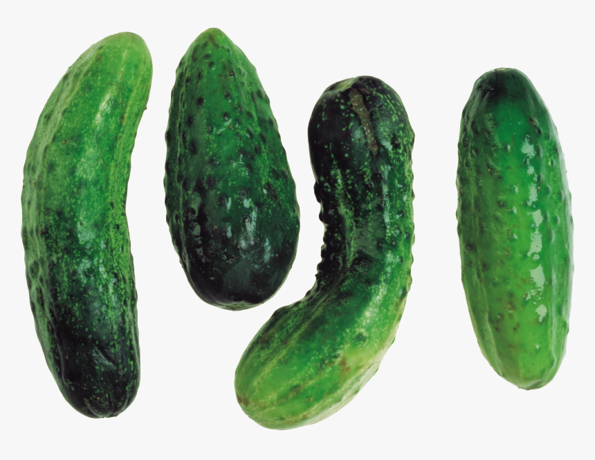 Cucumber Png Image - Portable Network Graphics, Transparent Png, Free Download