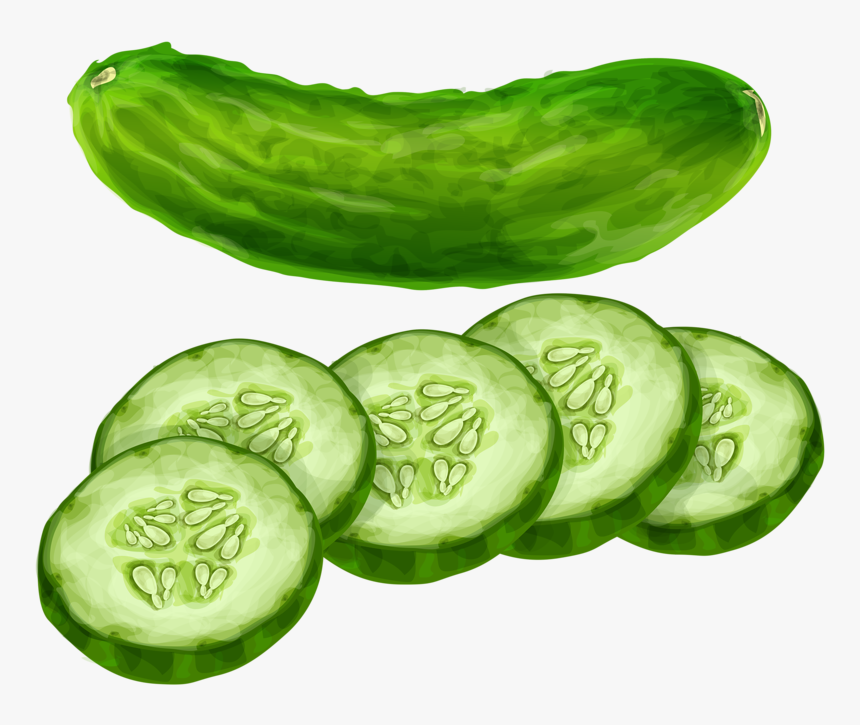 Cucumber Vegetable Clip Art - Transparent Background Cucumber Png, Png Download, Free Download
