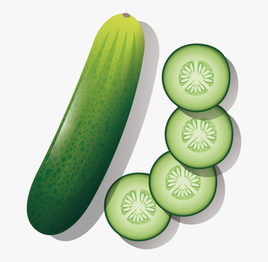 Cucumber Cartoon Drawing, HD Png Download, Free Download