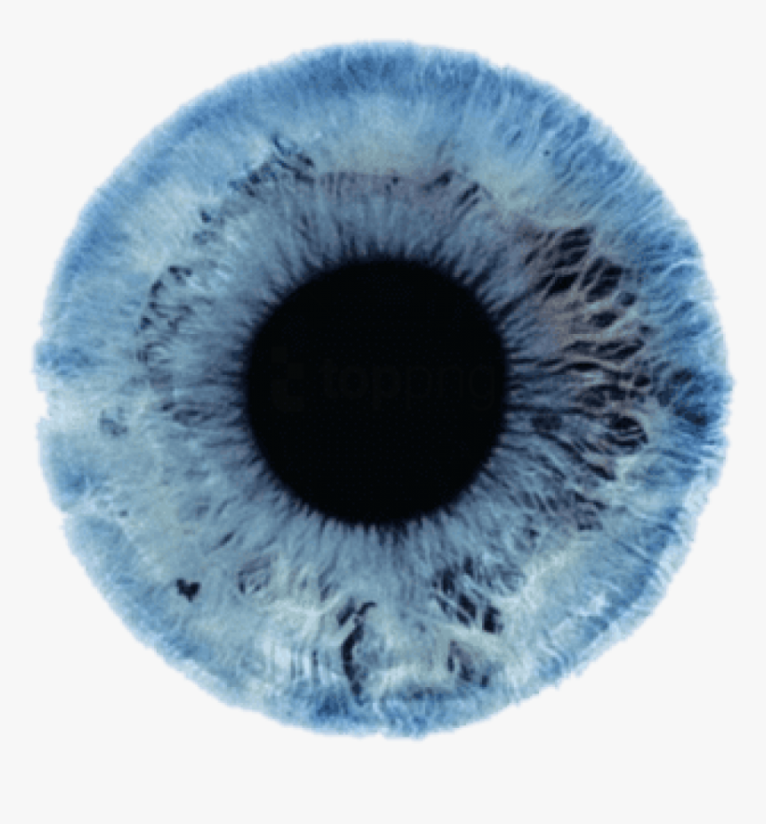 Blue Eyes Png 90 Images About - Blue Eyes Texture, Transparent Png, Free Download