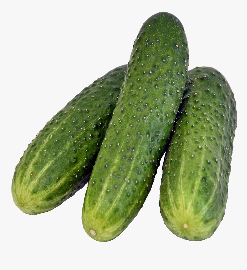 Cucumber Png Image - Gherkins Png, Transparent Png, Free Download