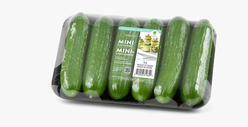 Mini Cucumbers 6ct, HD Png Download, Free Download