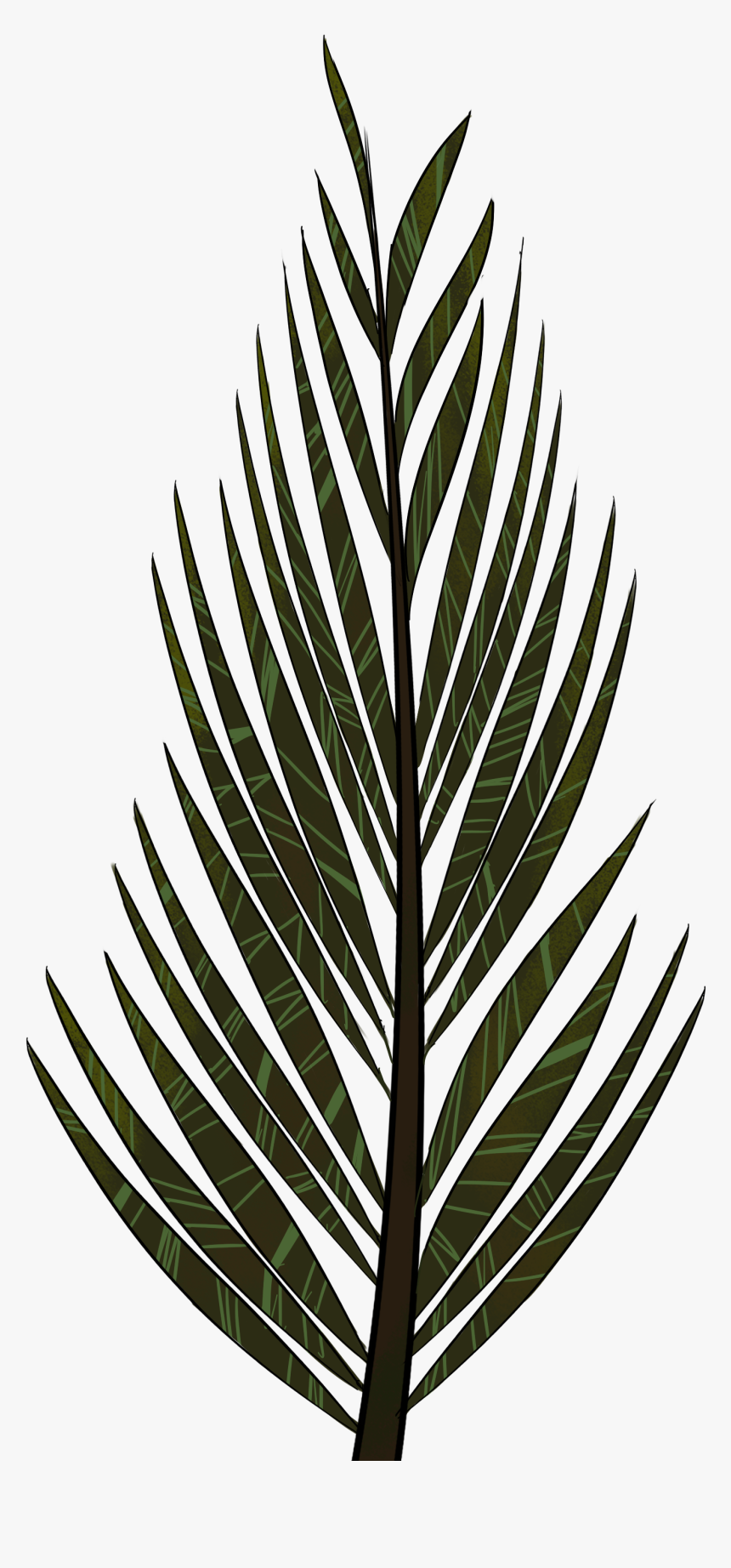 Clip Art Collection Of Free Leaf - Pine Tree Leaves Drawing, HD Png Download, Free Download