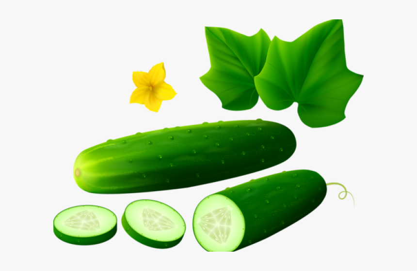 Transparent Cucumber Slice Png - Cucumbers Clipart Png, Png Download, Free Download