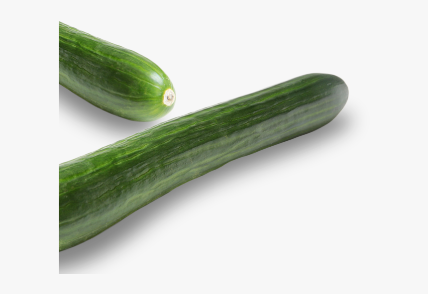 Cucumber, HD Png Download, Free Download