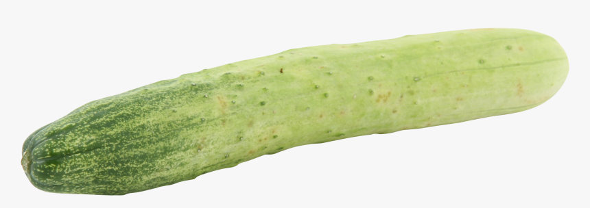 Squash, HD Png Download, Free Download