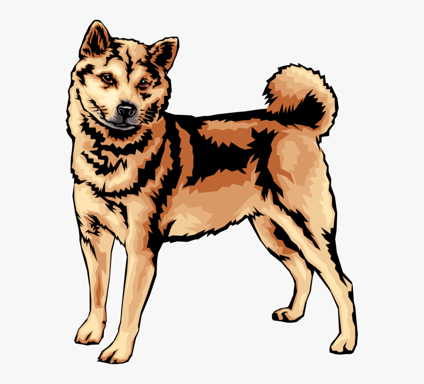 Akita - Shiba Inu Dog Vector, HD Png Download, Free Download