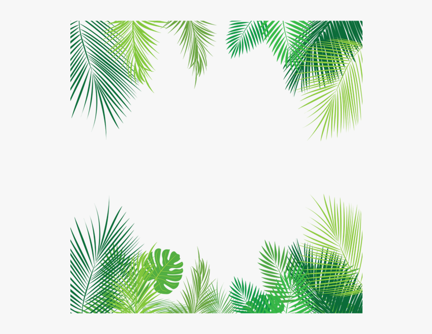 #summer #border #frame #palmleaves #leaves #overlay - Tropical Leaves Png, Transparent Png, Free Download