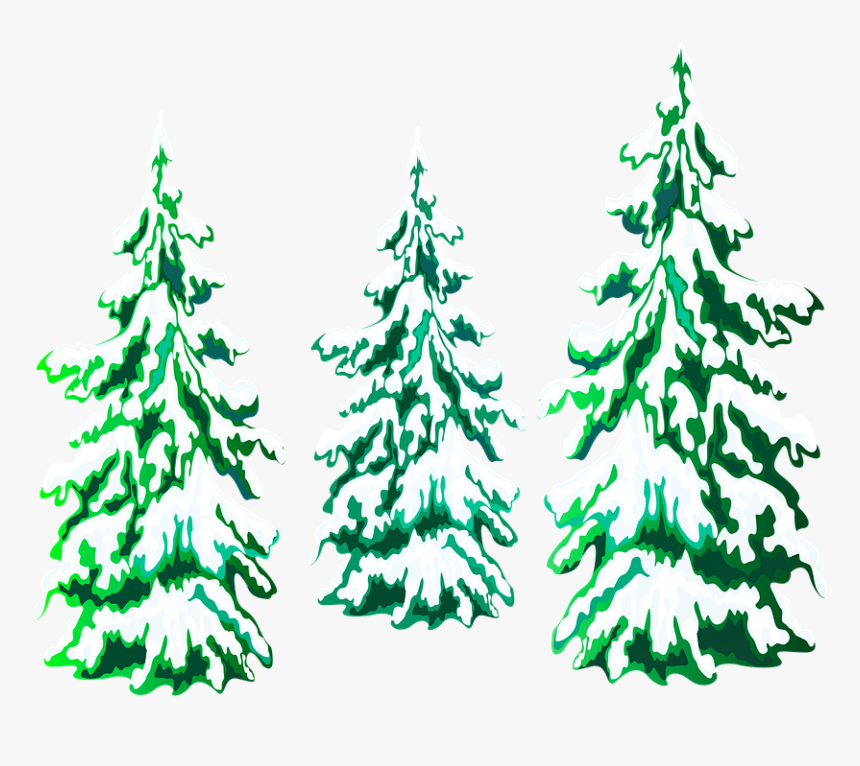 Christmas Tree, Pine Trees, Snow, Xmas, Nature, Season - Christmas Tree Clipart, HD Png Download, Free Download