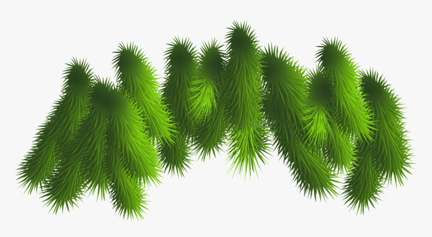 Transparent Pine Branches Png Clipart - Christmas Tree Branches Png, Png Download, Free Download