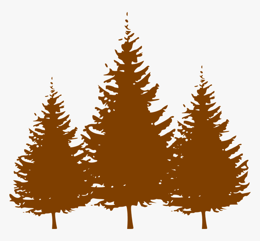 Pine Tree Clipart Leaf - Pine Tree Clipart Png, Transparent Png, Free Download