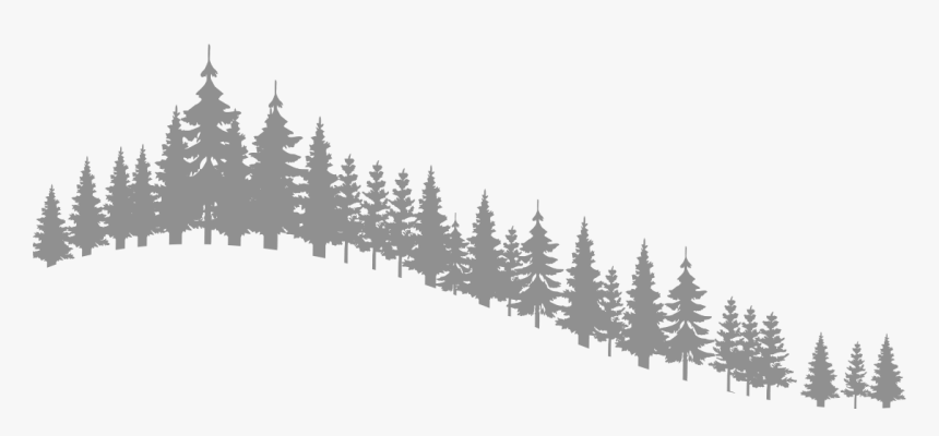 Reasons To Plan - Shortleaf Black Spruce, HD Png Download, Free Download