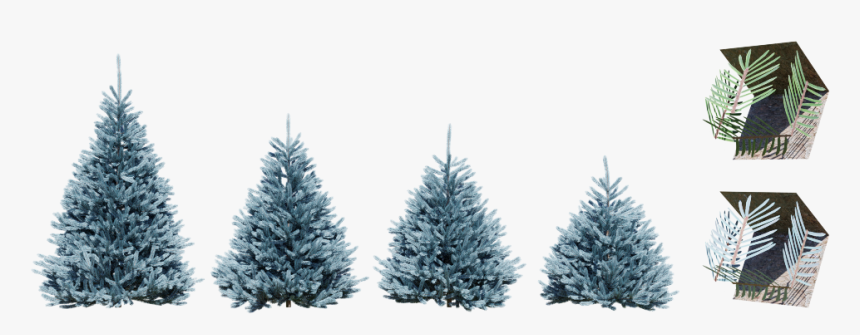 Christmas Tree, HD Png Download, Free Download