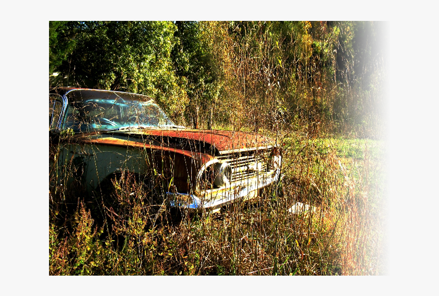 Home - Tree - Antique Car, HD Png Download, Free Download