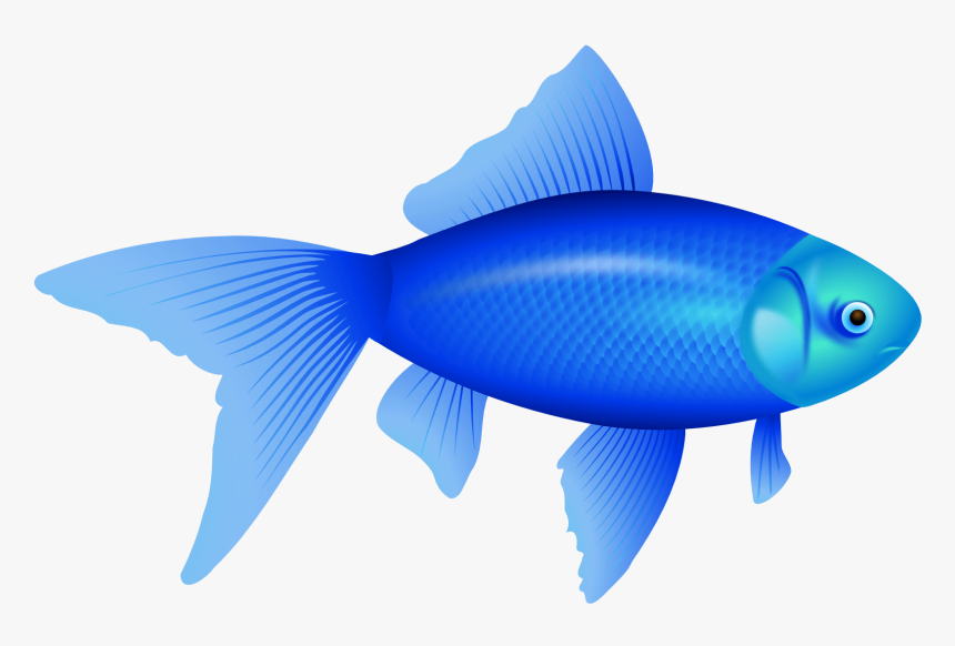 Blue Fish Clipart, HD Png Download, Free Download