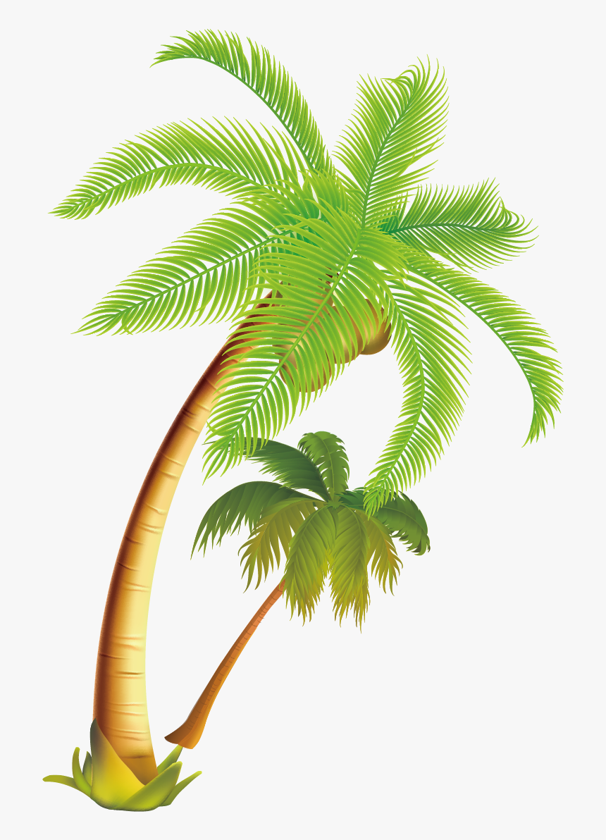 Coconut Tree Clip Art Coconut Tree Vector Png Transparent Png Kindpng ...