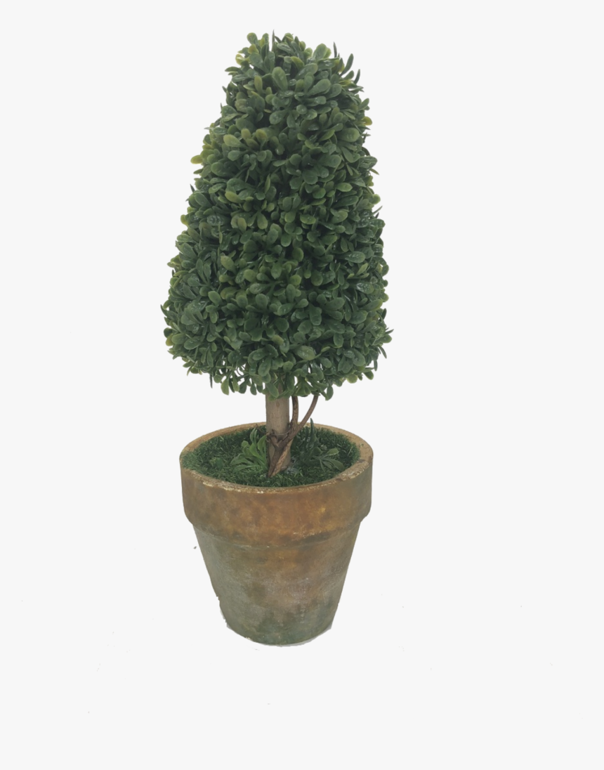 Potted Topiary Tree , Png Download - Topiary Tree Png, Transparent Png, Free Download