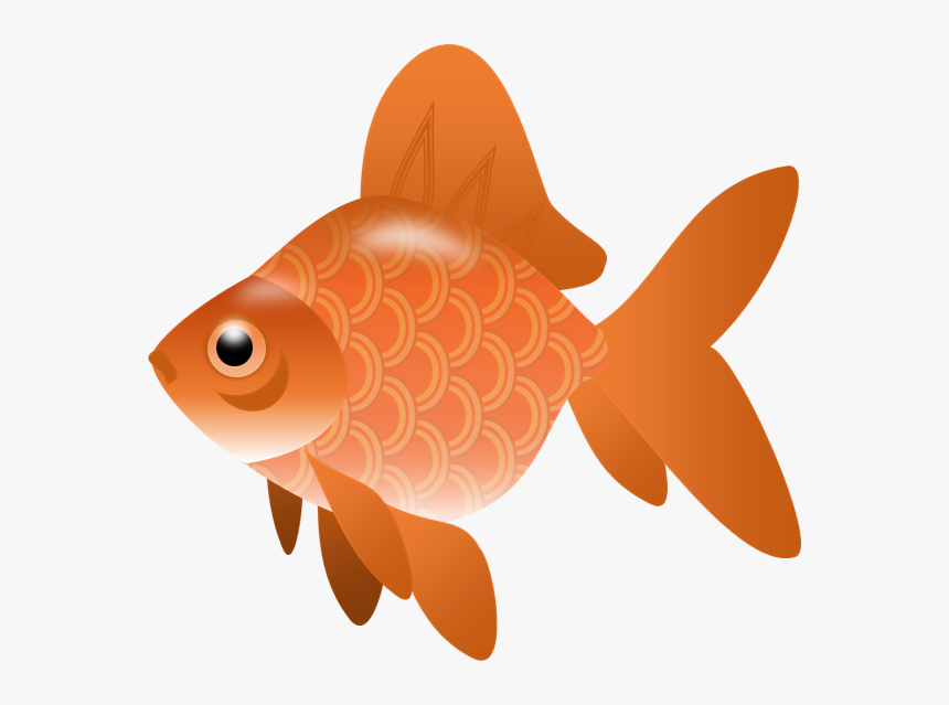 Fish,illustration - Fish Clip Art Transparent, HD Png Download, Free Download