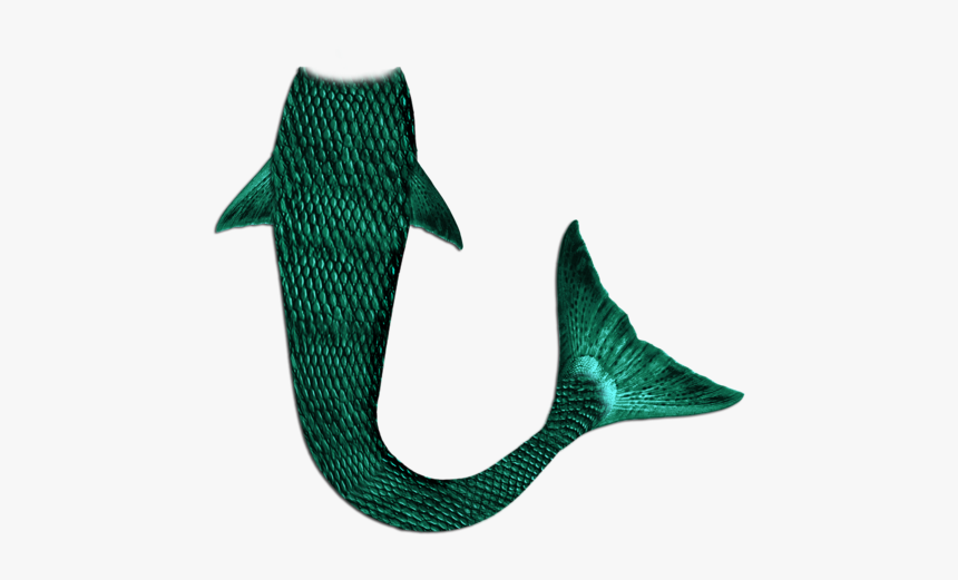 Mermaid Tail Png, Transparent Png, Free Download