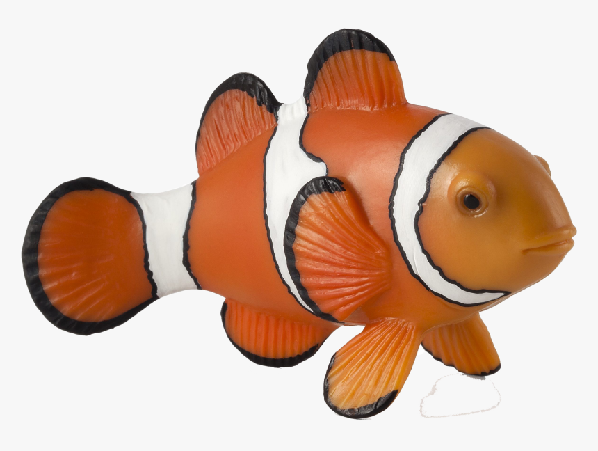 Clown Fish Png Free Background - Clown Fish Toys, Transparent Png, Free Download