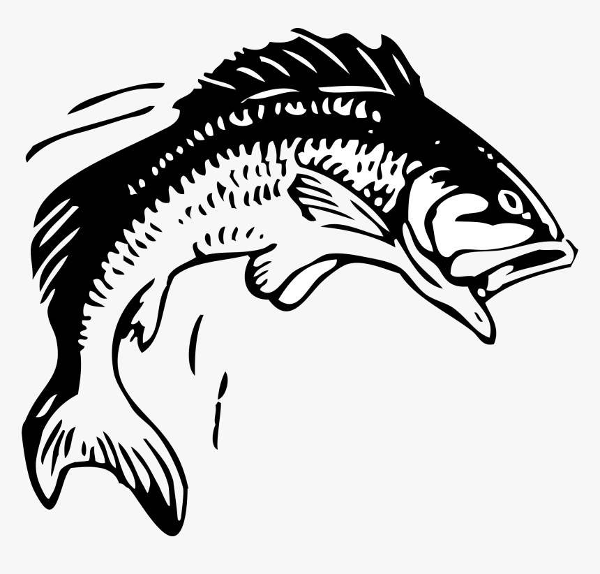 Jumping Fish Svg Clip Arts - Group 11 Rugby League, HD Png Download, Free Download